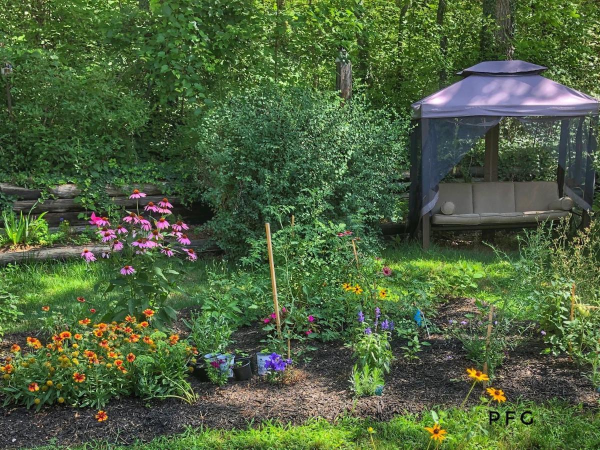 Cozy Cottage Retreat Lambton Shores Εξωτερικό φωτογραφία